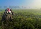 Strike called off within a day  :  Private Elephant Safari resumed from 25th Dec 2023 in Bagori range of Kaziranga National Park  :
