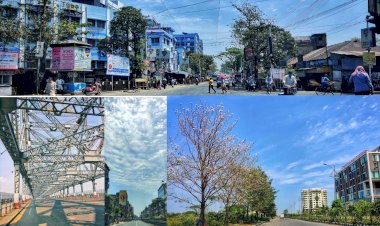 আজি নিমাও-মাও ৰৱীন্দ্ৰনাথ, শৰত চন্দ্ৰৰ চহৰ