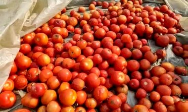 লক ডাউনত সমগ্ৰ ৰাজ্যৰ লগতে কৃষিমন্ত্ৰীৰ সমষ্টি বোকাখাতত কৃষকৰ বিলৈ :