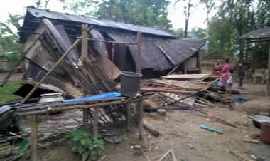 ঢেকিয়াজুলিত বন্যহস্তীৰ তাণ্ডৱ