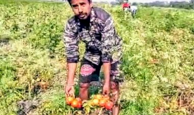 ৰাজ্যৰ উৎপাদিত শাক-পাচলি ৰে’লেৰে বহিঃৰাজ্যলৈ  নিব