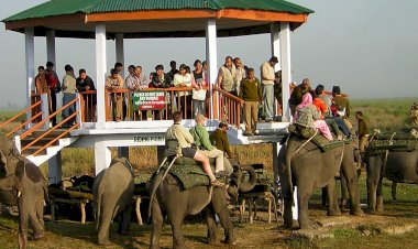 কাজিৰঙা ৰাষ্ট্ৰীয় উদ্যানৰ পৰ্যটন বৰ্ষৰ সামৰণী : প্ৰতিকুল পৰিস্থিতিত হ্ৰাস পালে ৰাজহ সংগ্ৰহ  :