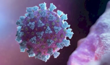 অসমত আৰু এজনৰ দেহত কোৰোণা পজিটিভ