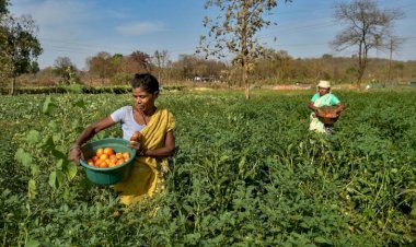এজন উদীয়মান কৃষকধ্ৰুৱজোতি