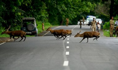 বানপানী সমাগত :  কাজিৰঙাৰ ৩৭ নং ৰাষ্ট্ৰীয় পথাংশত ১৪৪ ধাৰা জাৰি বোকাখাত আৰু কলিয়াবৰ মহকুমা প্ৰশাসনৰ :