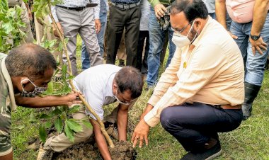 কাজিৰঙা ৰাষ্ট্ৰীয় উদ্যানত বিশ্ব পৰিৱেশ দিৱস : মন্ত্ৰী কেশৱ মহন্তৰ বৃক্ষ ৰোপণ : ছাত্ৰ ছাত্ৰীৰ মাজত গছ পুলি বিতৰণ :