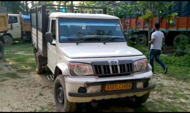 গোলাঘাটত চোৰাং কাঠ ভৰ্ত্তি বলে'ৰ পিকআপ জব্দ