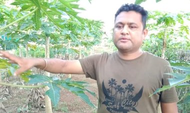 ডিব্ৰুগড়ৰ দীপক বৰাই জৈৱিক কৃষি কৰ্মৰে দেখুৱাইছে উৎকৃষ্ট নিদৰ্শন