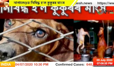 নাগালেণ্ডত নিষিদ্ধ হ’ল কুকুৰৰ মাংস -কেবিনেট বৈঠকত এই সিদ্ধান্ত গ্ৰহণ