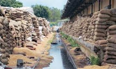 এফচিআইৰ গুদামত ৪০ হাজাৰটন খাদ্যসামগ্রী নষ্ট