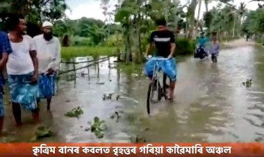 কৃত্ৰিম বানৰ কবলত বৃহত্তৰ গৰিয়া কাৱৈমাৰি অঞ্চল