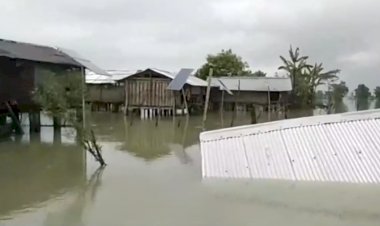 কেনেকৈ জীৱন নিৰ্বাহ কৰিছে মুখ্যমন্ত্ৰীৰ জন্মস্থানৰ ৰাইজে