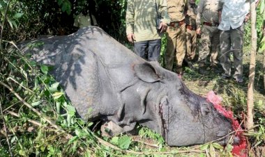 গঁড় হত্যা নহয় এতিয়া কভিড ১৯ ৰ সংক্ৰমণৰ বাবে বোকাখাত আৰক্ষী মুকামোৰনি হৈছে মনিপুৰৰ চোৰাং চিকাৰী  চিনজাচন ভাল্টে :