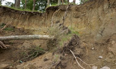 গৰাখহনীয়াক ৰাষ্ট্ৰীয় সমস্যা হিচাপে চিহ্নিত কৰকঃ দাবী  এবিএমছুৰ