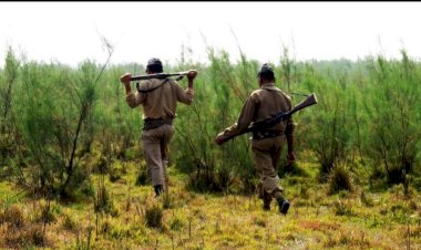 কাজিৰঙাৰ বনশিৱিৰতে বন কৰ্মীৰ মৃত্যু  : আত্মহত্যা বুলি  সন্দেহ  :