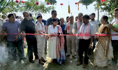 বিশ্বৰ পৰ্যটকৰ বাবে মুকলি হ'ল কাজিৰঙাৰ অগৰাতলি বনাঞ্চল  :