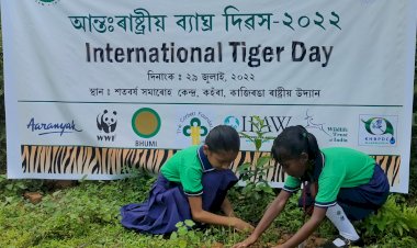 কাজিৰঙা ৰাষ্ট্ৰীয় উদ্যানতোও আন্ত: ৰাষ্ট্ৰীয় ব্যাঘ্ৰ দিৱস উদযাপন : স্থানীয় ১৮ গৰাকী লোকক ক্ষতিপুৰণ আৰু ৩৯ গৰাকী বন কৰ্মীক সম্বৰ্ধনা  :