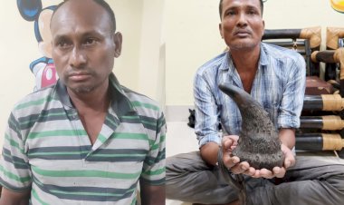 বোকাখাতত আৰক্ষীৰ জালত দুই গঁড়ৰ খৰ্গৰ চোৰাং ব্যৱসায়ী  : উদ্ধাৰ এটা গঁড়ৰ খৰ্গ  :