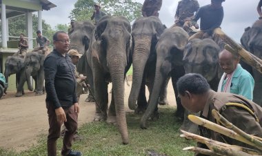 কাজিৰঙাত ৬৮ সংখ্যক বন্যপ্ৰাণী সপ্তাহৰ দ্বিতীয় দিনৰ কাৰ্যসুচী হস্তী দিৱস হিচাবে উদযাপন  :