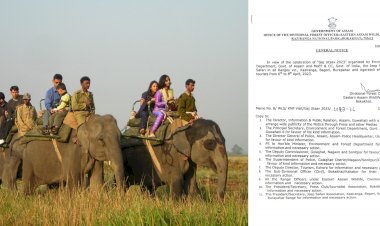 কাজিৰঙাত গজ উৎসৱ  : ৬,৭ আৰু ৮ এপ্ৰিলত পৰ্যটকৰ বাবে বন্ধ থাকিব কাজিৰঙাৰ হাতী আৰু জীপ চাফাৰী  :