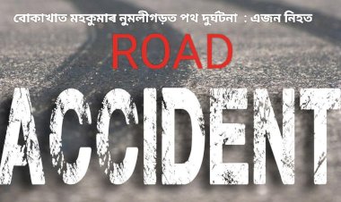 নুমলীগড়ৰ ৩৭নং ৰাষ্ট্ৰীয় ঘাইপথত পথ দুৰ্ঘটনা  : এজন চালকৰ মৃত্যু :