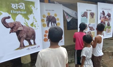 উজনি অসমত হাতী মানুহৰ সংঘাত প্ৰশমনৰ বাবে আৰণ্যকৰ গজ কথাৰ অভিযান :