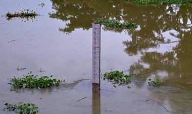 কাজিৰঙা ৰাষ্ট্ৰীয় উদ্যানত বানপানীৰ আগতীয়া জাননী দিব পৰাকৈ কেন্দ্ৰীয় জল আয়োগৰ অনুমোদিত লেভেল ষ্টেচনৰ প্ৰয়োজন :