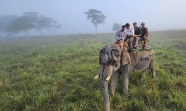 কাজিৰঙাৰ বাগৰিৰ ব্যক্তিগত হাতী চাফাৰি বন্ধৰ সিধান্ত বাতিল :  দ্বিপাক্ষিক আলোচনাৰ পিচত ২৫ ডিচেম্বৰৰ পৰা পুনৰ আৰম্ভ হ'ব ব্যক্তিগত হাতী চাফাৰী  :