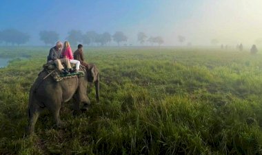 Strike called off within a day  :  Private Elephant Safari resumed from 25th Dec 2023 in Bagori range of Kaziranga National Park  :