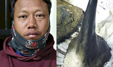 কাজিৰঙাত ২২ জানুৱাৰীত দুটাকৈ গঁড় হত্যা কৰিছিল চোৰাং চিকাৰীয়ে : গঁড় খৰ্গ , গঁড় হত্যাত ব্যৱহৃত এ কে ৪৭ ৰাইফলৰ লগতে ১৬ জাঁই গুলীৰে সৈতে চোৰাংচিকাৰী আটক :