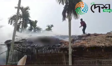 বোকাখাতৰ কুৰুৱাবাহীৰ চিনাকানত অগ্নিকাণ্ড : জুইত জাহ গ'ল কুকুৰা ফাৰ্ম  :