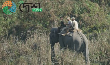 কাজিৰঙা ৰাষ্ট্ৰীয় উদ্যানত সপ্তাহ জোৰা হাতী গণনাৰ সমাপ্তি  : কাইলৈ নমুনা সংগ্ৰহ কৰিব নিৰ্বাচিত খণ্ডত  :