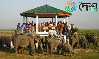 বিশ্বৰ পৰ্যটকৰ বাবে ১ মে’ পৰা হাতী আৰু ১৬ মে'ৰ পৰা জীপ চাফাৰী বন্ধ হ'ব কাজিৰঙা ৰাষ্ট্ৰীয় উদ্যানত :