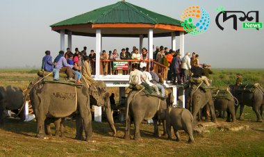 পৰ্যটন বৰ্ষৰ শেষত বিগত দহ বছৰৰ অভিলেখ ভংগ কৰি চলিত পৰ্যটন বৰ্ষত কাজিৰঙালৈ আহিল ৪২ লাখৰো অধিক দেশী বিদেশী পৰ্যটক  : ১০. ৯০ কোটি  টকাৰ ৰাজহ সংগ্ৰহ  :