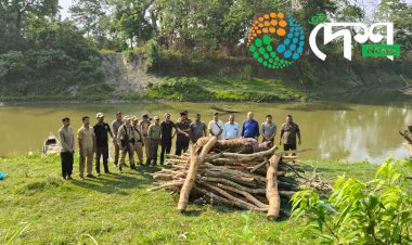 কাজিৰঙা ৰাষ্ট্ৰীয় উদ্যানৰ কঁহৰা বনাঞ্চলত ঢেকীয়াপতীয়া বাঘৰ মৃতদেহ উদ্ধাৰ  :