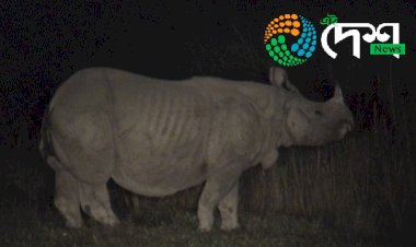 কাজিৰঙাৰ এনিমেল কৰিডৰত মটৰচাইকেলেৰে গঁড় পোৱালীক খুন্দিয়াই আহত দুজন : সম্প্ৰতি বনবিভাগৰ জিম্মাত দুই মটৰচাইকেল আৰোহী  : মটৰচাইকেলো জব্দ  :