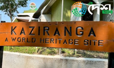 ৰাজ্যৰ বন বিভাগত ৰদ বদল : কাজিৰঙালৈ নতুন বনাঞ্চলিক বিষয়া : ড০ বিভুতি ৰঞ্জন গগৈ, বিবিদ দিহিঙীয়া আৰু বিদ্যুত বিকাশ বৰাৰ সহকাৰী বনসংৰক্ষকলৈ পদোন্নতি :