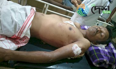 One Injured in Leopard Attack at Lakhowjan Tea Estate, Bokakhat.