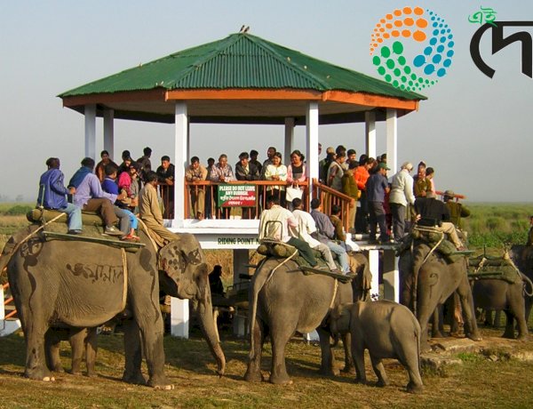 পুৰ্বৰ সকলো ৰেকৰ্ড ভঙ্গ কৰি চলিত পৰ্যটন বৰ্ষত তিনি লক্ষাধিক পৰ্যটকে দৰ্শন কৰে কাজিৰঙা ৰাষ্ট্ৰীয় উদ্যান :  সংগৃহীত হয় ৮ কোটি ৮১ লাখৰো অধিক ৰাজহ  :