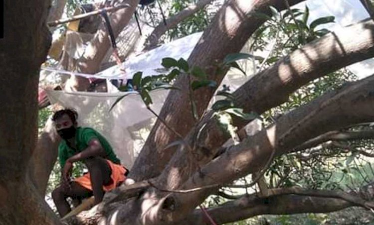 ঘৰত ঠাই নাই, গছত কোৰান্টিইন ৭ যুবকৰ