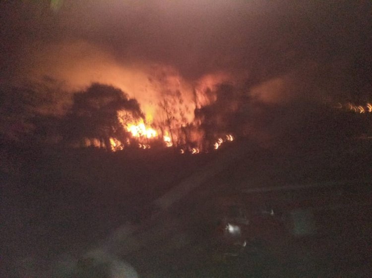 উত্তৰ গুৱাহাটী গৌৰীপুৰত বনজুই