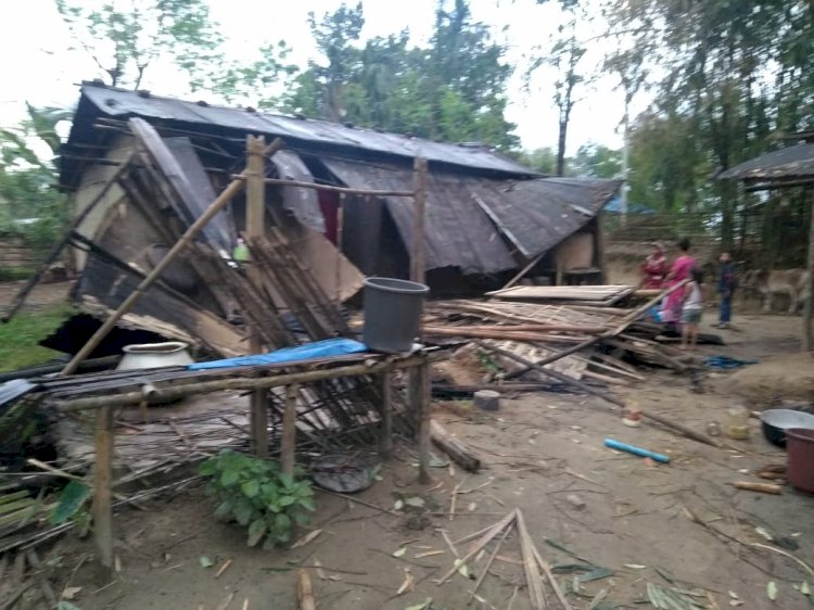 ঢেকিয়াজুলিত বন্যহস্তীৰ তাণ্ডৱ