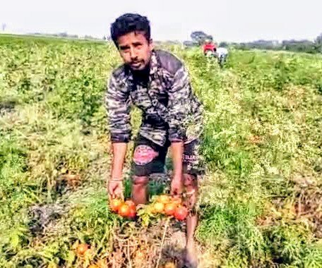 ৰাজ্যৰ উৎপাদিত শাক-পাচলি ৰে’লেৰে বহিঃৰাজ্যলৈ নিব