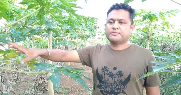 ডিব্ৰুগড়ৰ দীপক বৰাই জৈৱিক কৃষি কৰ্মৰে দেখুৱাইছে উৎকৃষ্ট নিদৰ্শন