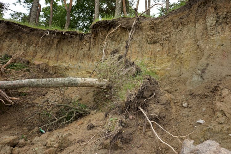 গৰাখহনীয়াক ৰাষ্ট্ৰীয় সমস্যা হিচাপে চিহ্নিত কৰকঃ দাবী এবিএমছুৰ