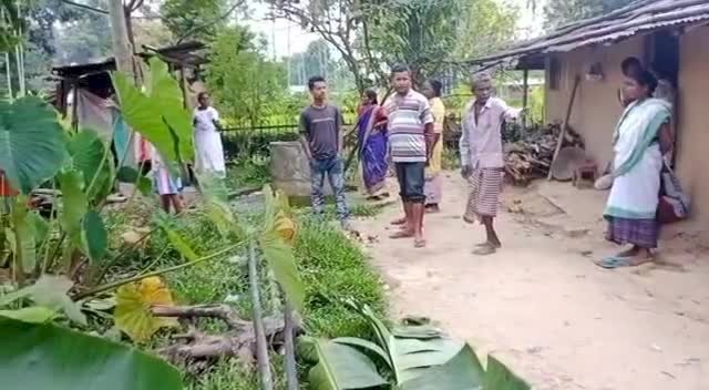 গোলাঘাটৰ বকিয়াল মহল তিনিআলিত বনৰীয়া হাতীৰ গছকত প্ৰাণ গ’ল পিতা পুত্ৰৰ :