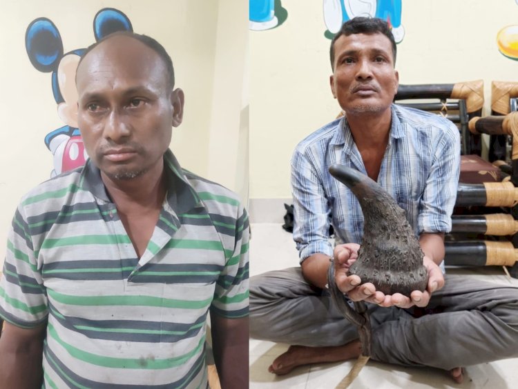 বোকাখাতত আৰক্ষীৰ জালত দুই গঁড়ৰ খৰ্গৰ চোৰাং ব্যৱসায়ী : উদ্ধাৰ এটা গঁড়ৰ খৰ্গ :
