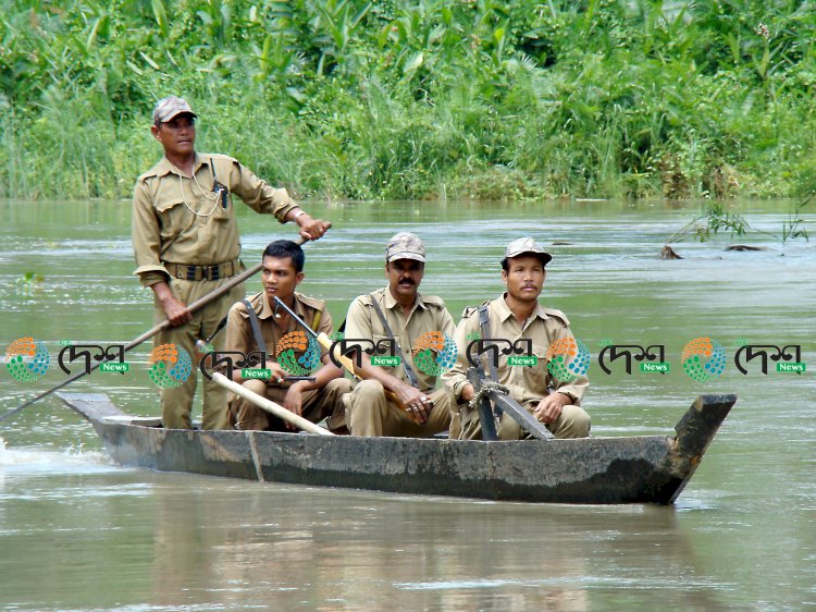 প্ৰত্যাশিত বানপানীৰ আশাত কাজিৰঙা ৰাষ্ট্ৰীয় উদ্যান : জৈৱতন্ত্ৰক প্ৰভাৱিত কৰিব পৰাকৈ প্লাৱিত হোৱা নাই কাজিৰঙা : বিগত দুটা দিনত নিম্নগামী জলপৃষ্ঠ : ক্ৰমান্বয়ে কমিবলৈ লৈছে ৰাষ্ট্ৰীয় উদ্যানৰ জলমগ্ন অঞ্চলৰ পানী :