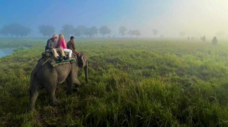 Strike called off within a day : Private Elephant Safari resumed from 25th Dec 2023 in Bagori range of Kaziranga National Park :