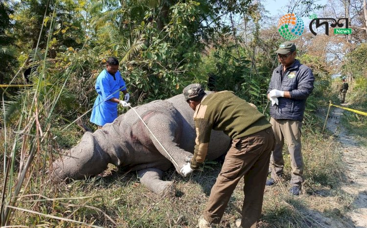 কাজিৰঙাত বছৰৰ প্ৰথমটো গঁড় হত্যা : খৰ্গ লৈ উধাও চোৰাংচিকাৰীৰ দল :